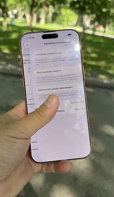 mini 4 pro: IPhone 17 Pro Max, Новый, 256 ГБ, Оранжевый, 100 % — 6