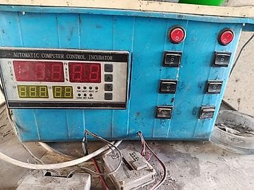 Инкубатор с автоматическим управлением - Электронный блок «Automatic