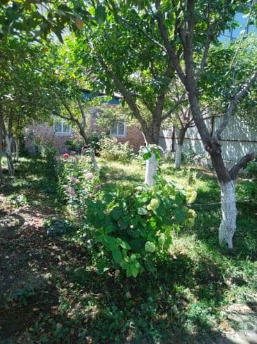 дом разборный: Квартира берилет!!! 🏡 БЕЗ ХОЗЯИНА! Короо тозулган, соонун огород — 9