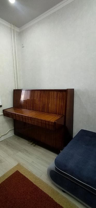 Микрофоны: Пианино 🎹"Беларусь " В хорошем состоянии! — 4