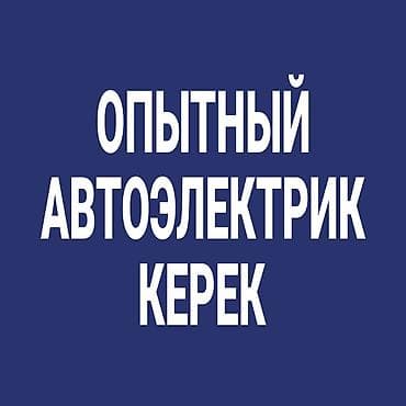 ремонт автомагнитол: Требуется Автоэлектрик, Оплата: Еженедельно, Процент от дохода, Более 5 лет опыта, Обучение — 1