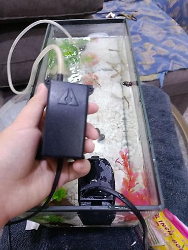 улитки: Набор для аквариума с оборудованием и декором Состав: - Прямоугольный — 2