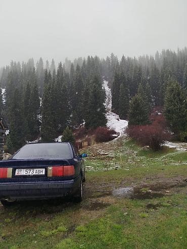 ауди гранат: Audi 100: 1992 г., 2 л, Механика, Бензин, Седан — 2