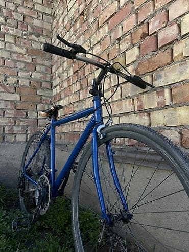 сменная обувь: Городской велосипед, Lespo, Рама L (172 - 185 см), Б/у — 1