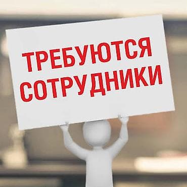авто элэктирик: Автоцентр Автомолл в г Ош в поисках следующих специалистов — 1