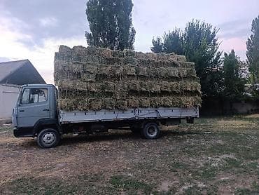 Мерседес 814 6 куб простой матор 1990н бортовой Продаётся/оказывается — 1