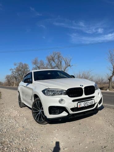 набор ключей для автомобиля в чемодане: BMW X6: 2018 г., 3 л, Автомат, Бензиновая, Купе — 4