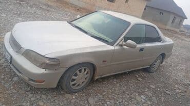 торнео аккорд: Автомобиль седан, белый цвет. Передний привод. Кузов с классической — 2