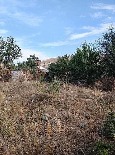 кадастр кж: 🏡 Продаётся уютный частный дом в Воронцовке 📍 Адрес: с.Воронцовка — 1