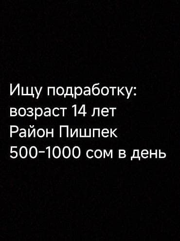 Ищу работу Без опыта