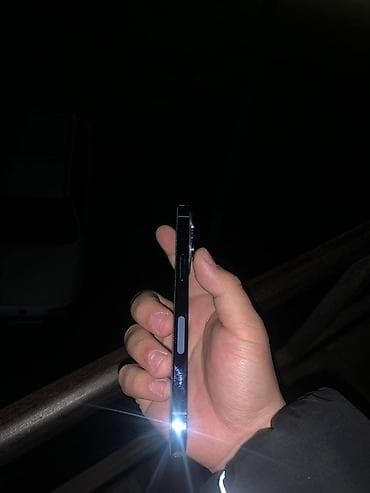 samsung 21: IPhone 13 Pro, Серебристый — 2