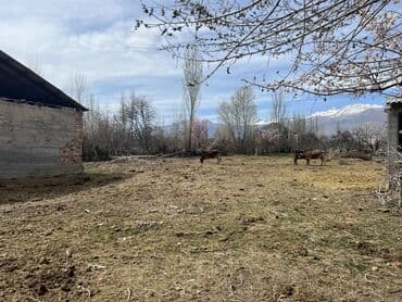 дом чон арыке: Времянка, 80 м², 4 комнаты, Собственник, ПСО (под самоотделку) — 3