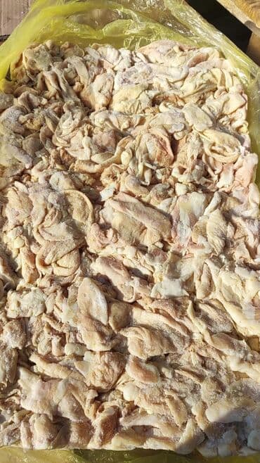 купить корм для форели в бишкеке: Сабачый корм — 2