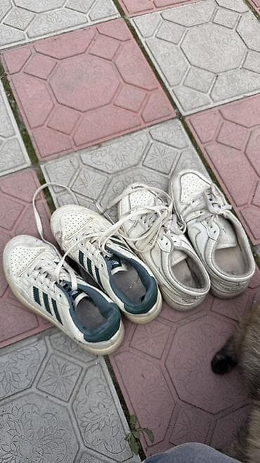 Женская обувь: Подборка женской и унисекс обуви разного типа. Состав лота: - Черные — 6