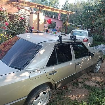 Продажа авто: Mercedes-Benz W124: 1988 г., 3 л, Механика, Дизель, Седан — 1