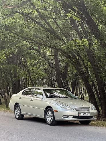 mers w220: Lexus ES: 2003 г., 3.3 л, Автомат, Газ, Седан — 1