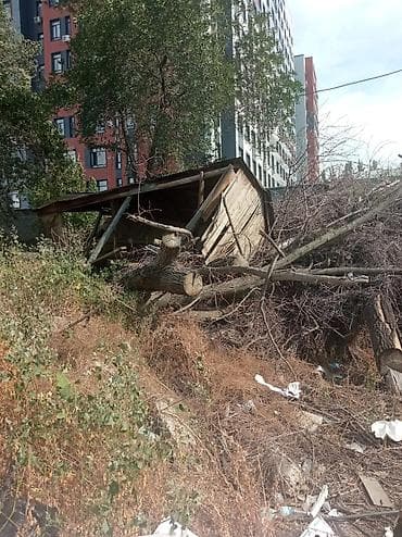 Отдам даром: Бесплатно дрова, завод ЭВМ, по улице Исакеева/Чолпон Атинка — 3