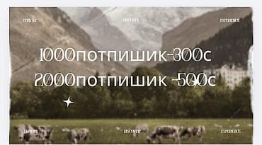 panasonic lumix: Услуга: увеличение числа подписчиков. Пакеты: - 1000 подписчиков — — 1