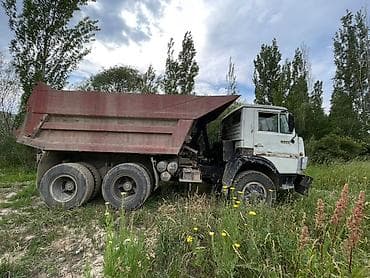 бака жалбырак: Самосвал — 2