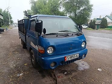 крыло виндом: Легкий грузовик, Hyundai, Стандарт — 2