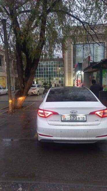 купить авто с кореи бу: Hyundai Sonata: 2019 г., 2 л, Автомат, Газ, Седан — 4