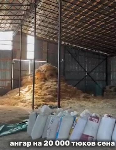 кон завод: Farm КРС, 2400 соток, Действующий, С оборудованием, Электричество — 4