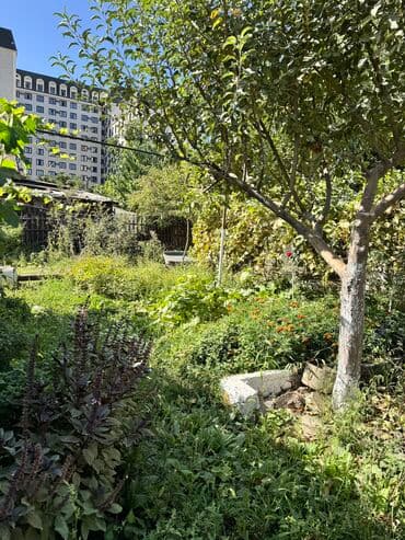 станция ивановка дом: 12 соток, Для строительства, Красная книга, Тех паспорт, Договор купли-продажи — 2