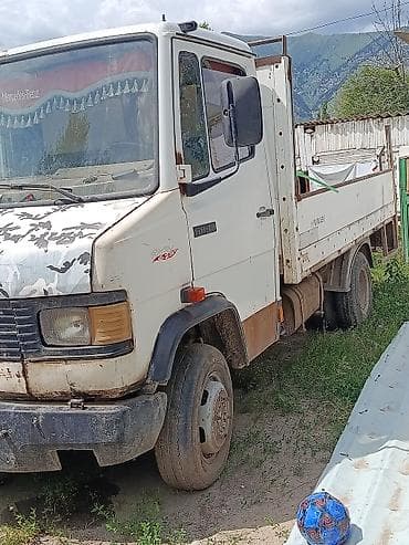 Унаа: Mercedes-Benz : 1992 г., 4 л, Кол менен иштөөчү, Дизель — 1