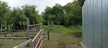 продажа котеджей: Дом, 30 м², 3 комнаты, Собственник, Старый ремонт — 2