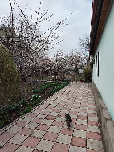 с гаража: Продаётся частный дом с большим ухоженным двором и садом. Основные — 3