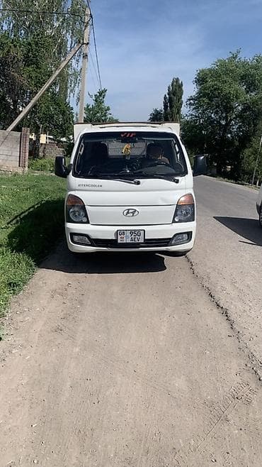 neta u pro машина: Легкий грузовик, Hyundai, Стандарт — 1