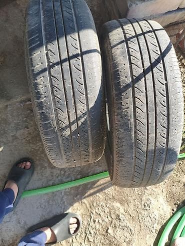 65: Две летние автомобильные шины 205/65 R16.
НА ДОКАТ ПОЙДУТ — 1