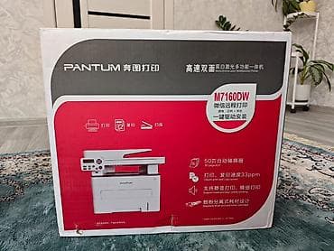 microsoft hp: Лазерное МФУ Pantum M7160DW + тонеры Pantum TO-460H Комплект для — 4
