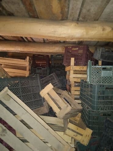 тушки кролика: Жыгач Ящик, Колдонулган — 4