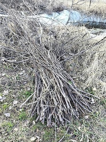 топор пожарный: Дрова — 3