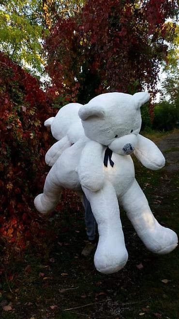 пш метр: Мишки 2х метровые толстые Прайс Мишки стандарт: 50см - 900сом — 2