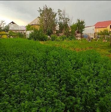 5 соток, Для строительства, Красная книга at lalafo.kg 5 соток, Для строительства, Красная книга