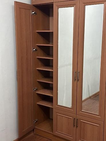 Эмерек: Шкаф-купе/распашной для прихожей и спальни, классический стиль, цвет — 2