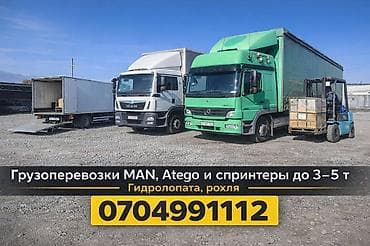 Комнатные растения: Грузоперевозки по Бишкеку и регионам. - Квартирные, домовые и офисные — 2