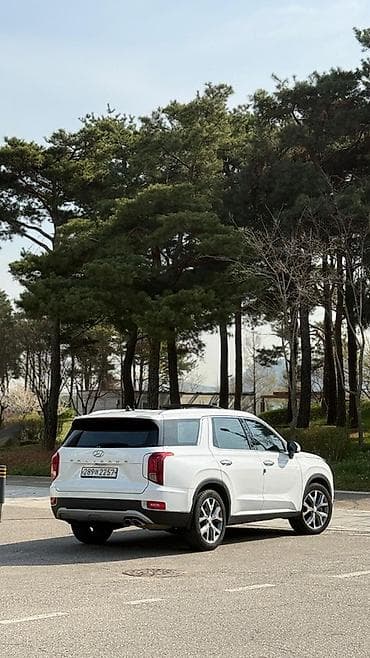 range over: Hyundai Palisade: 2019 г., 2.2 л, Дизель, Кроссовер — 10