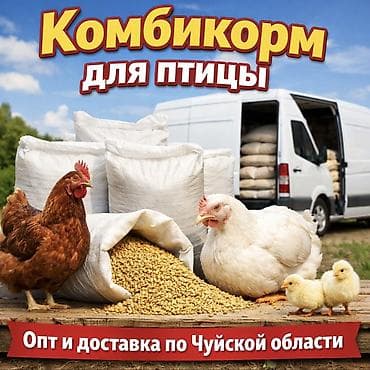 гранулят: Комбикорм для птицы с доставкой Опт дешевле - Нужен хороший корм — 6