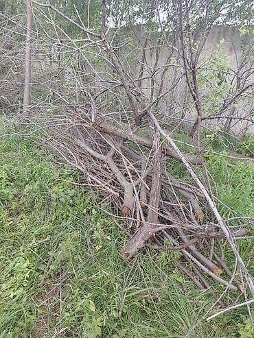 Дрова: Дрова Фруктовая древесина, Самовывоз — 3