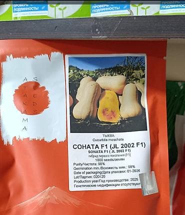 кукуруза гибрид: Семена тыквы мускатной Sonata F1 (Cucurbita moschata), гибрид первого — 2
