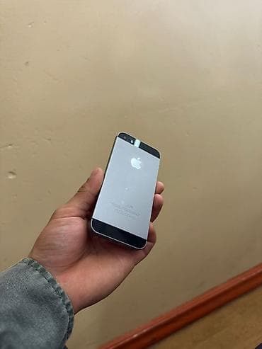 IPhone 5s, Space Gray