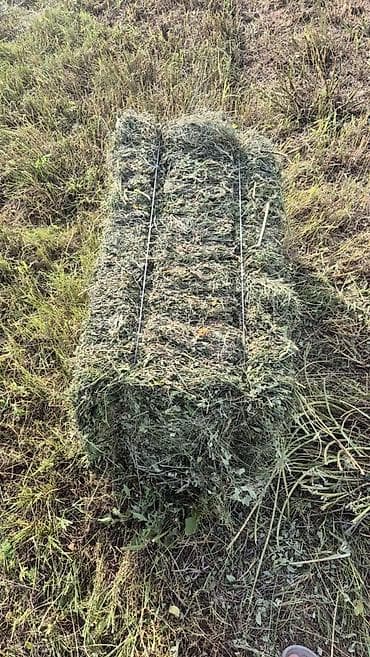 тюк клевер сено: Продам сено в ьюках 1 метр вес 25-30 пишите по воцапу - Заготовка — 1