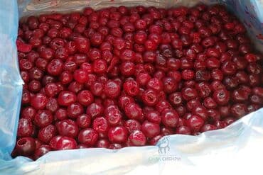 бишкек оптом картошка: Чие Дүңүнөн, Акылуу жеткирүү, Акысыз жеткирүү, Өзү алып кетүү — 2