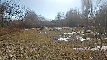 ленинская: 22 соток, Для строительства, Красная книга — 6