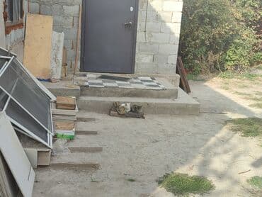 дом для кош: Мышык бекер берилет: Ангор, 4 айлык, Эркек, Лотокко барууга үйрөтүлгөн — 5