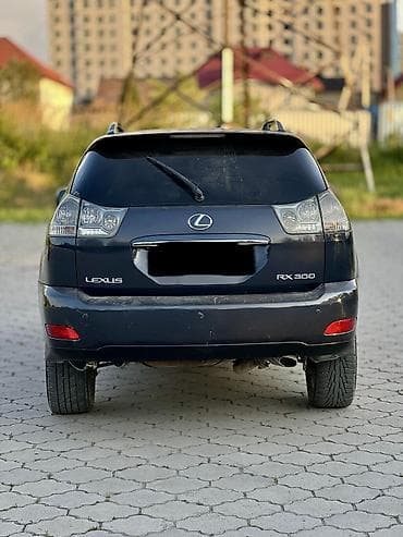 Lexus: Lexus RX: 2003 г., 3 л, Типтроник, Газ, Кроссовер — 6