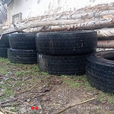 самосвал маз: Шины R 22,5, Лето, Б/у, 1 шт — 1